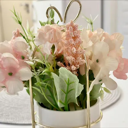 Menada Romance Marine Daire